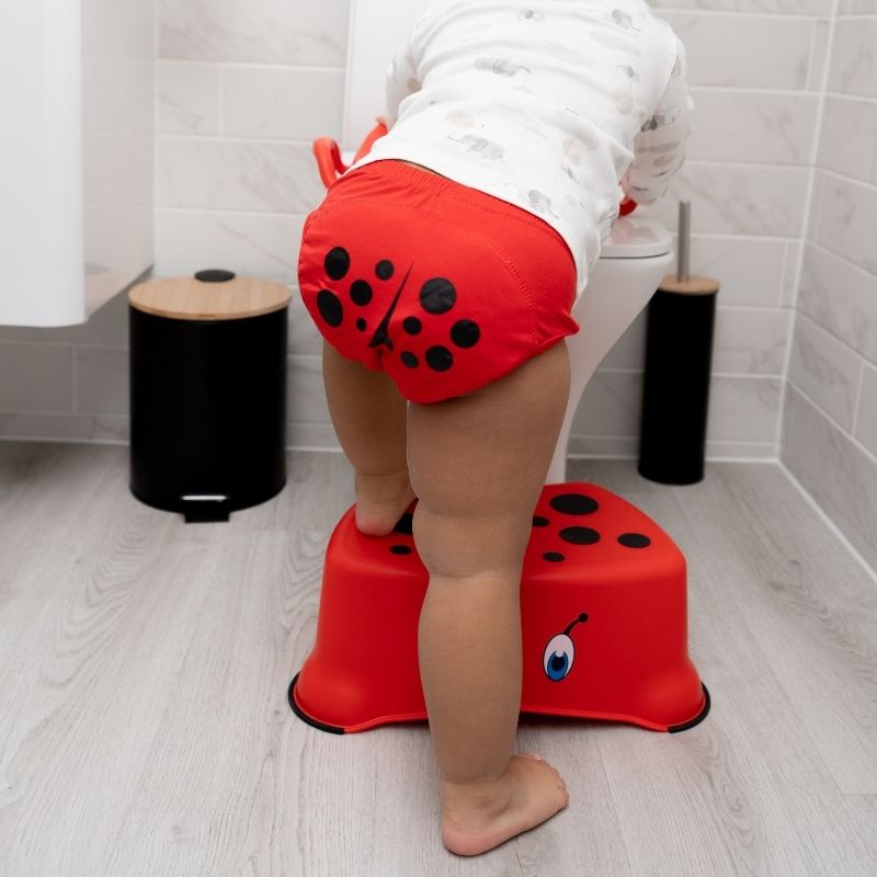 PULL UP POTTY TRAINING NAPPIES – MyNickerBot